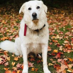 Meet your Posher, Joanna